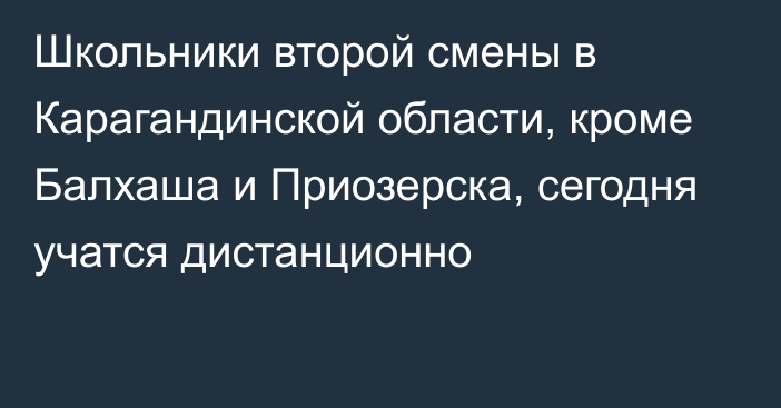 Школьники второй смены в Карагандинской области, кроме Балхаша и Приозерска, сегодня учатся дистанционно