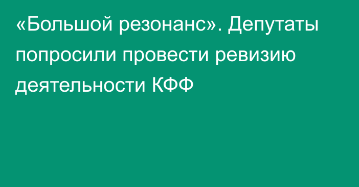 «Большой резонанс». Депутаты попросили провести ревизию деятельности КФФ