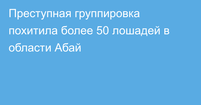 Преступная группировка похитила более 50 лошадей в области Абай