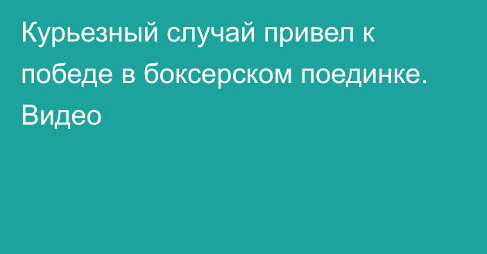 Курьезный случай привел к победе в боксерском поединке. Видео