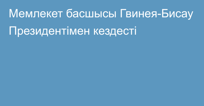 Мемлекет басшысы Гвинея-Бисау Президентімен кездесті