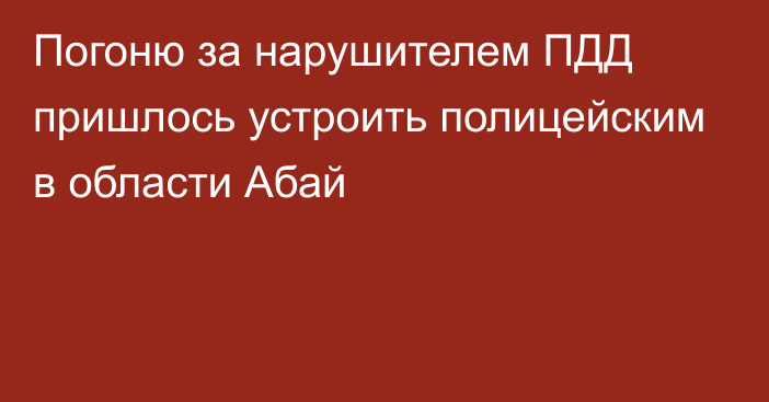 Погоню за нарушителем ПДД пришлось устроить полицейским в области Абай