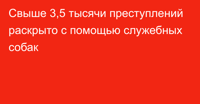 Свыше 3,5 тысячи преступлений раскрыто с помощью служебных собак