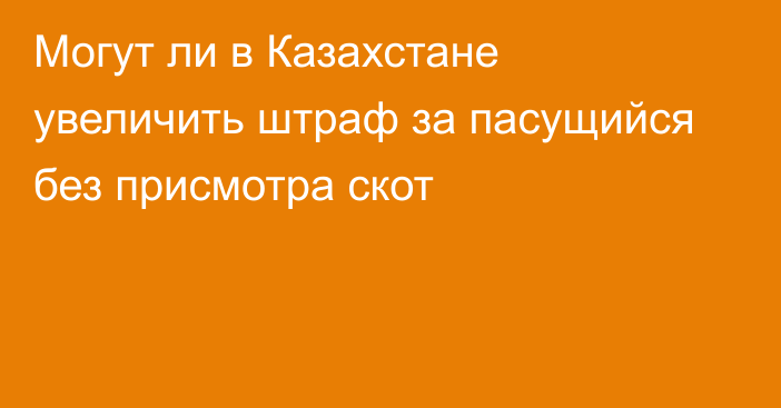 Могут ли в Казахстане увеличить штраф за пасущийся без присмотра скот