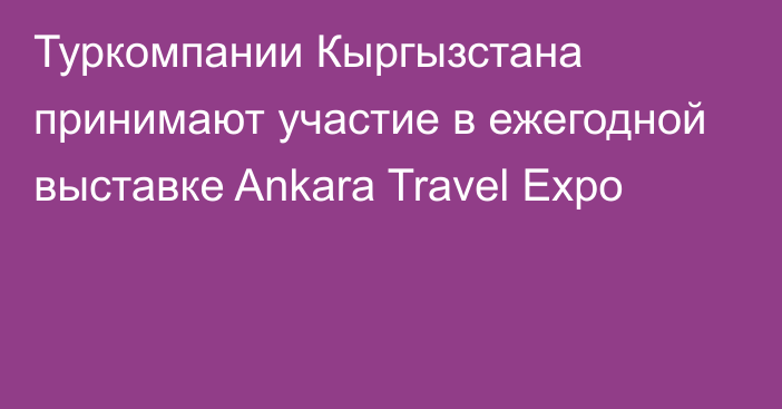 Туркомпании Кыргызстана принимают участие в ежегодной выставке Ankara Travel Expo