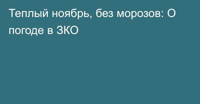 Теплый ноябрь, без морозов: О погоде в ЗКО