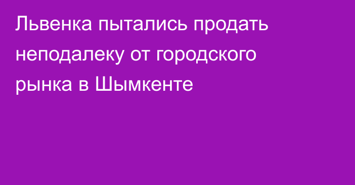 Львенка пытались продать неподалеку от городского рынка в Шымкенте