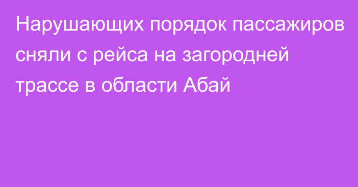 Нарушающих порядок пассажиров сняли с рейса на загородней трассе в области Абай