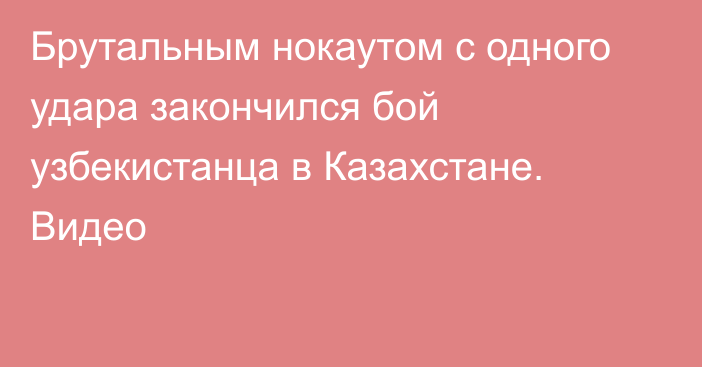 Брутальным нокаутом с одного удара закончился бой узбекистанца в Казахстане. Видео