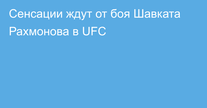 Сенсации ждут от боя Шавката Рахмонова в UFC