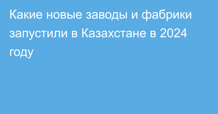 Какие новые заводы и фабрики запустили в Казахстане в 2024 году