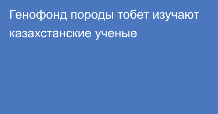 Генофонд породы тобет изучают казахстанские ученые