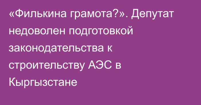 «Филькина грамота?». Депутат недоволен подготовкой законодательства к строительству АЭС в Кыргызстане