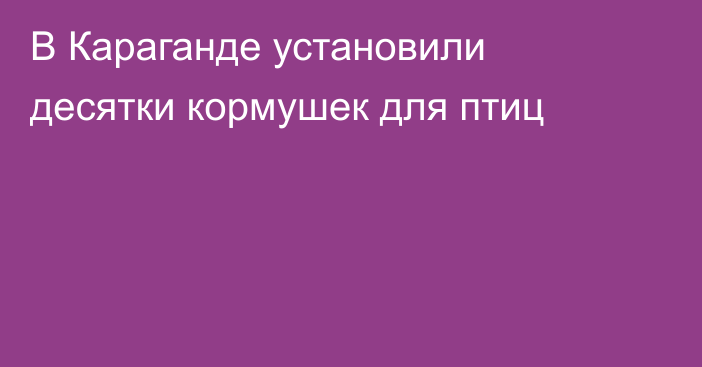 В Караганде установили десятки кормушек для птиц