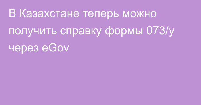 В Казахстане теперь можно получить справку формы 073/у через eGov