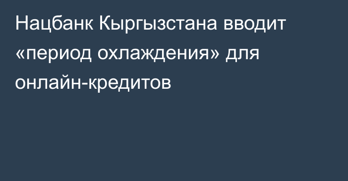 Нацбанк Кыргызстана вводит «период охлаждения» для онлайн-кредитов