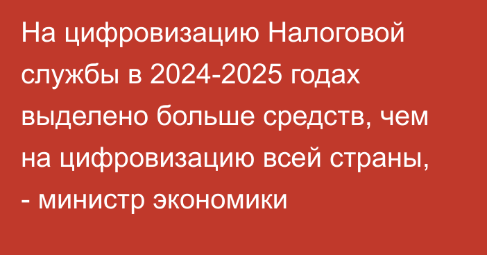 На цифровизацию Налоговой службы в 2024-2025 годах выделено больше средств, чем на цифровизацию всей страны, - министр экономики