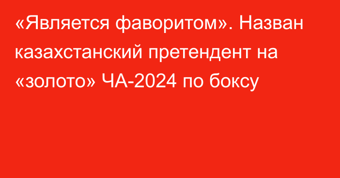 «Является фаворитом». Назван казахстанский претендент на «золото» ЧА-2024 по боксу