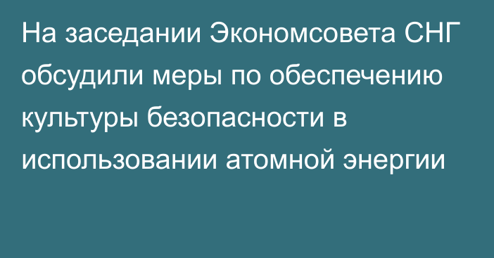 На заседании Экономсовета СНГ обсудили меры по обеспечению культуры безопасности в использовании атомной энергии