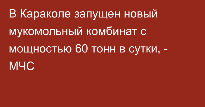 В Караколе запущен новый мукомольный комбинат с мощностью 60 тонн в сутки, - МЧС