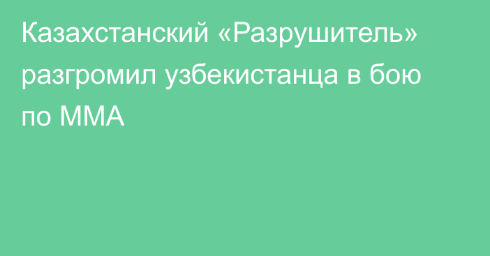 Казахстанский «Разрушитель» разгромил узбекистанца в бою по ММА