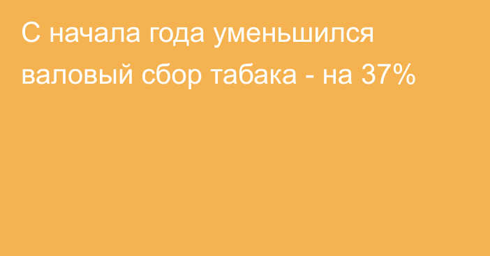 С начала года уменьшился валовый сбор табака - на 37%