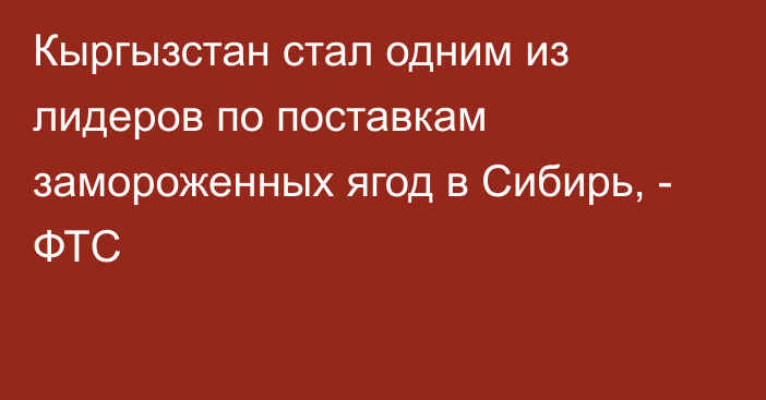 Кыргызстан стал одним из лидеров по поставкам замороженных ягод в Сибирь, - ФТС