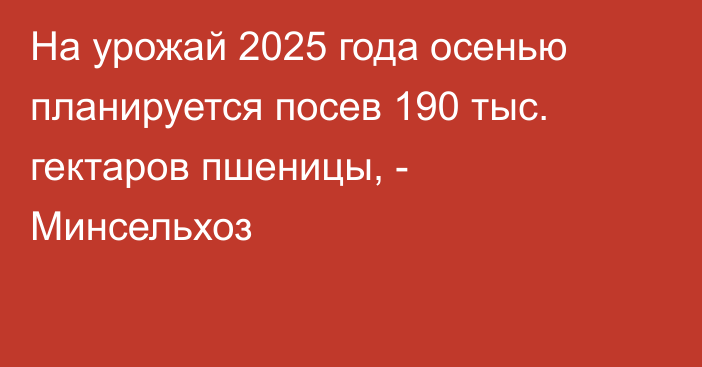 На урожай 2025 года осенью планируется посев 190 тыс. гектаров пшеницы, - Минсельхоз 