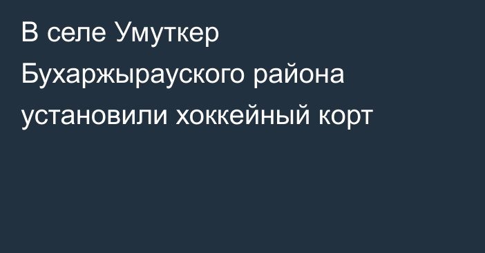 В селе Умуткер Бухаржырауского района установили хоккейный корт