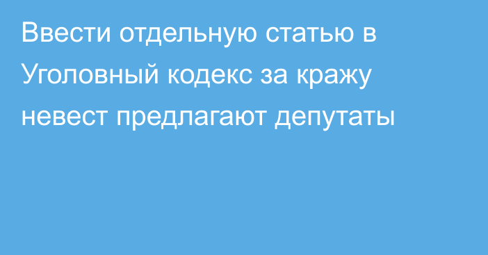 Ввести отдельную статью в Уголовный кодекс за кражу невест предлагают депутаты