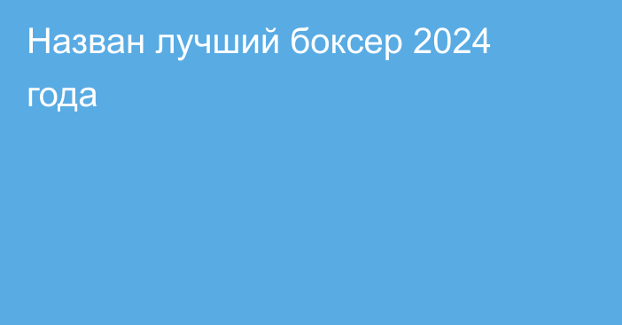 Назван лучший боксер 2024 года