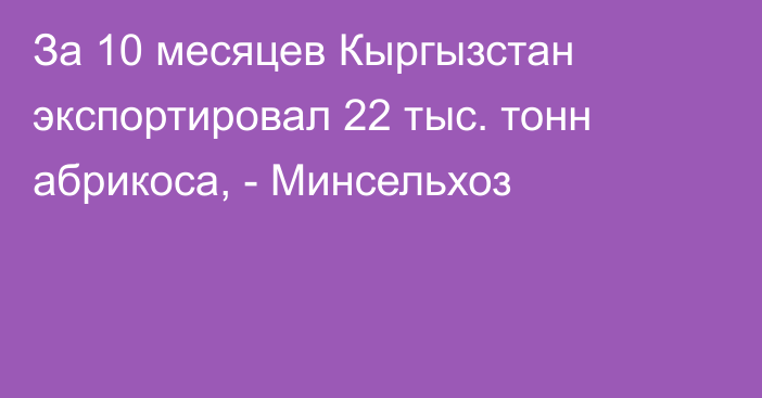 За 10 месяцев Кыргызстан экспортировал 22 тыс. тонн абрикоса, - Минсельхоз