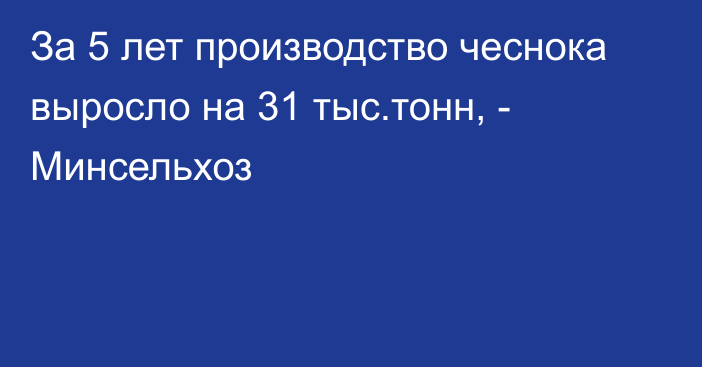 За 5 лет производство чеснока выросло на 31 тыс.тонн, - Минсельхоз