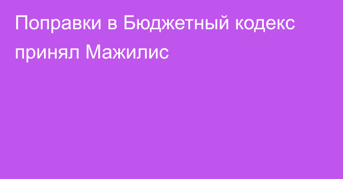 Поправки в Бюджетный кодекс принял Мажилис