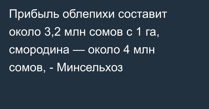 Прибыль облепихи составит около 3,2 млн сомов с 1 га, смородина — около 4 млн сомов, - Минсельхоз