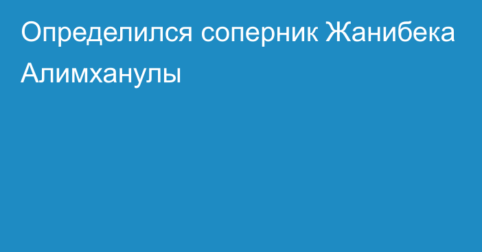 Определился соперник Жанибека Алимханулы