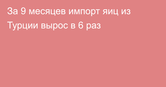 За 9 месяцев импорт яиц из Турции вырос в 6 раз 