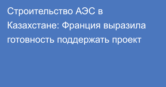 Строительство АЭС в Казахстане: Франция выразила готовность поддержать проект