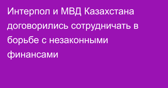 Интерпол и МВД Казахстана договорились сотрудничать в борьбе с незаконными финансами