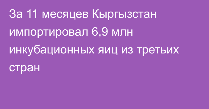 За 11 месяцев Кыргызстан импортировал 6,9 млн инкубационных яиц из третьих стран