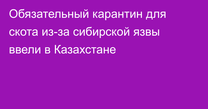 Обязательный карантин для скота из-за сибирской язвы ввели в Казахстане