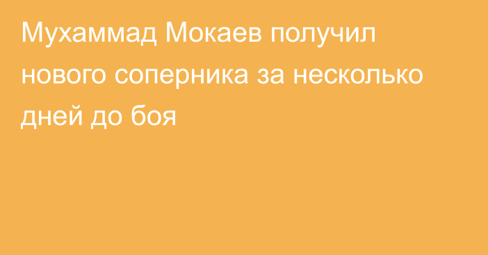 Мухаммад Мокаев получил нового соперника за несколько дней до боя