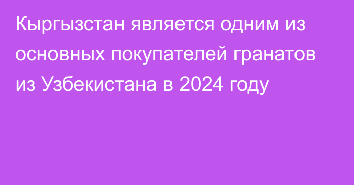 Кыргызстан является одним из основных покупателей гранатов из Узбекистана в 2024 году