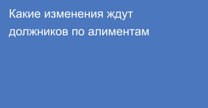 Какие изменения ждут должников по алиментам