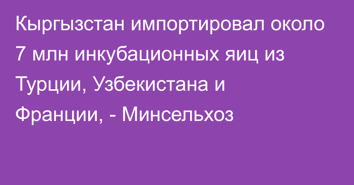 Кыргызстан импортировал около 7 млн инкубационных яиц из Турции, Узбекистана и Франции, - Минсельхоз