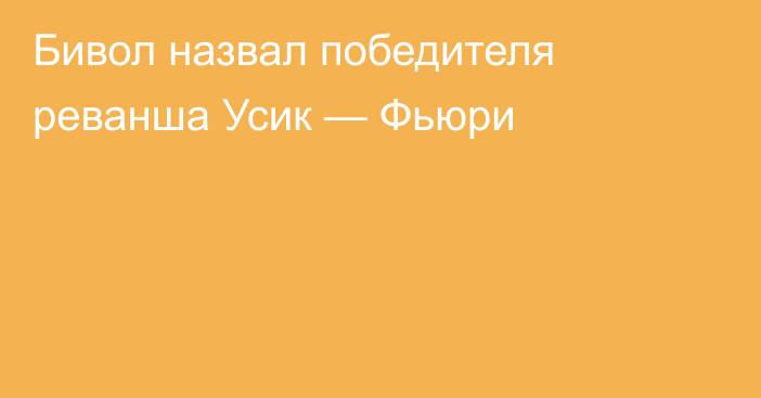 Бивол назвал победителя реванша Усик — Фьюри