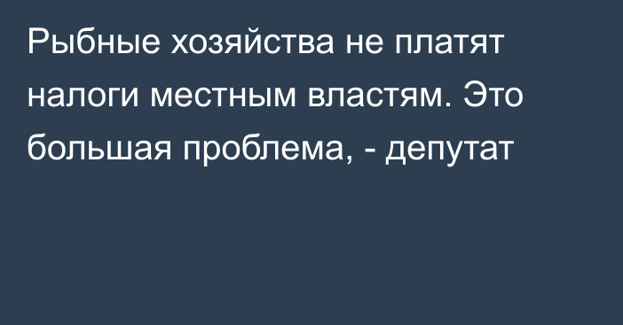 Рыбные хозяйства не платят налоги местным властям. Это большая проблема, - депутат