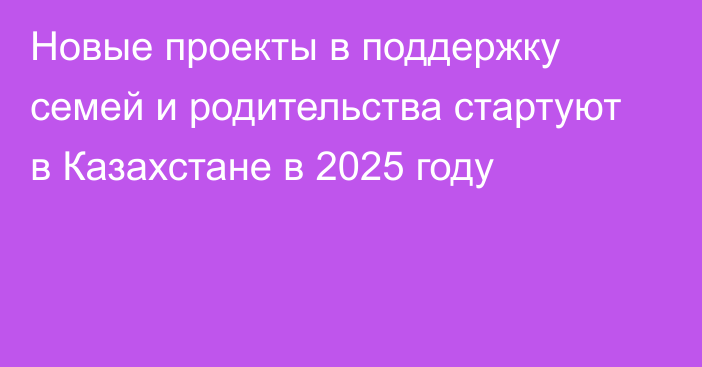 Новые проекты в поддержку семей и родительства стартуют в Казахстане в 2025 году