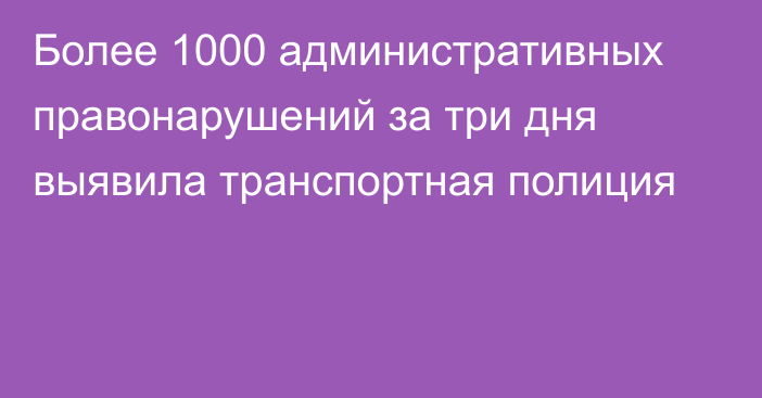 Более 1000 административных правонарушений за три дня выявила транспортная полиция