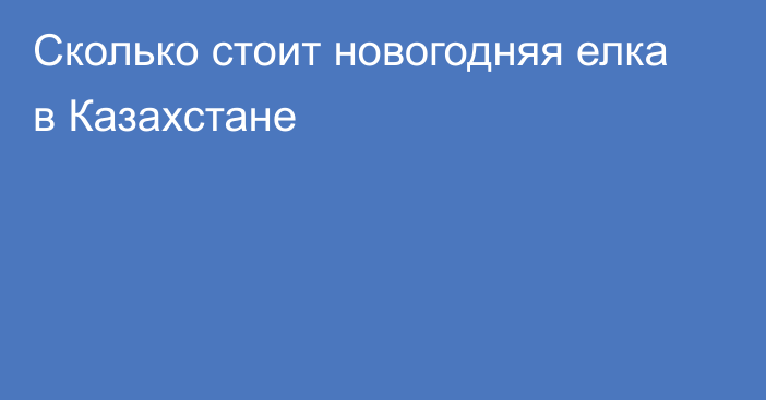 Сколько стоит новогодняя елка в Казахстане